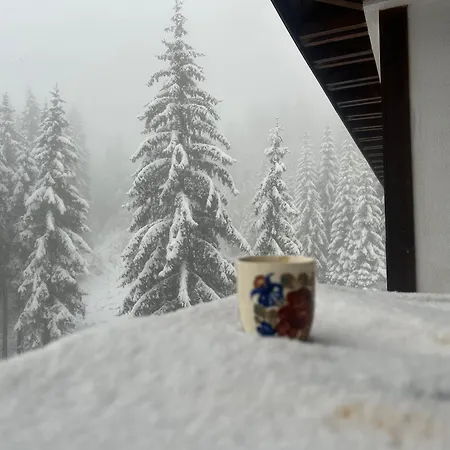 Bambi Ezerovo (Smolyan)