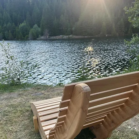 Bambi * Pamporovo
