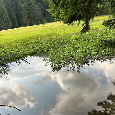 Bambi Apartman Pamporovo