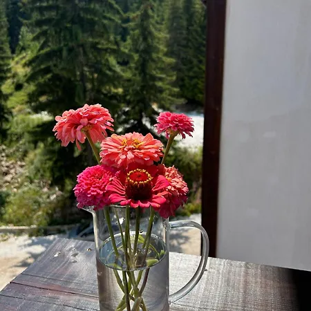 Bambi Appartement *