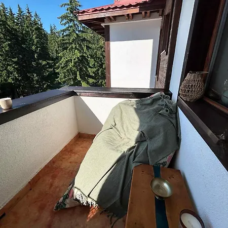 Bambi Pamporovo