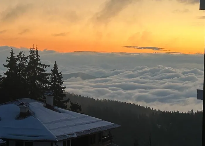 Διαμέρισμα Bambi