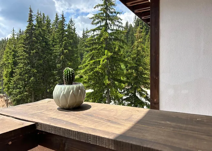 Bambi Διαμέρισμα