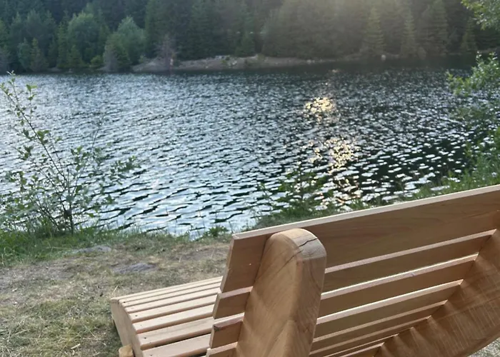 Bambi * Παμπόροβο