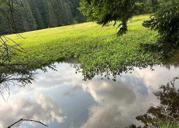 Bambi Διαμέρισμα Παμπόροβο