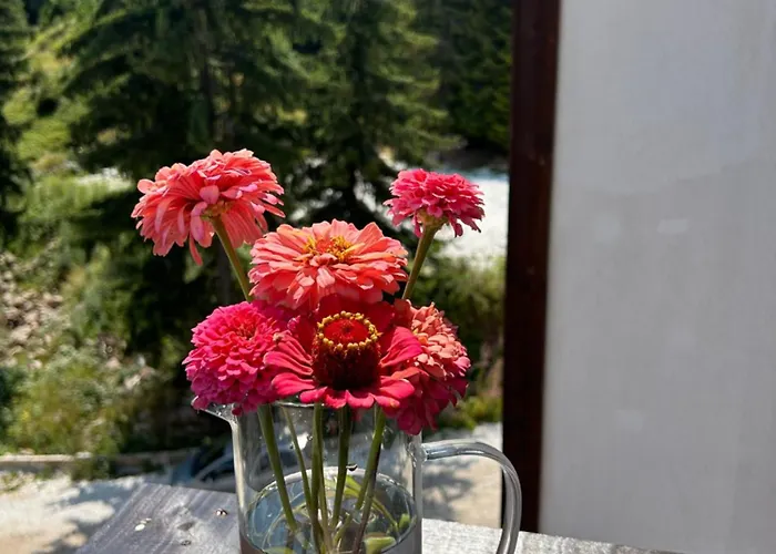 Bambi Διαμέρισμα *